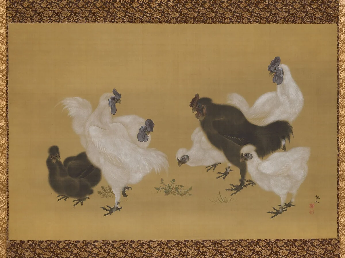 森狙仙筆 烏骨鶏図|Silkies, detail