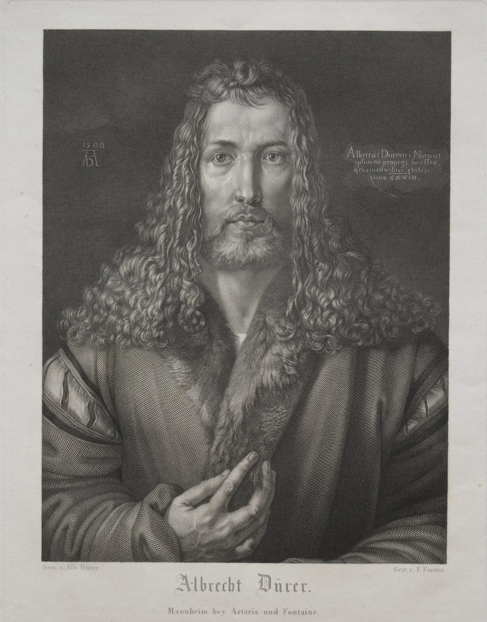 Albrecht Dürer, detail