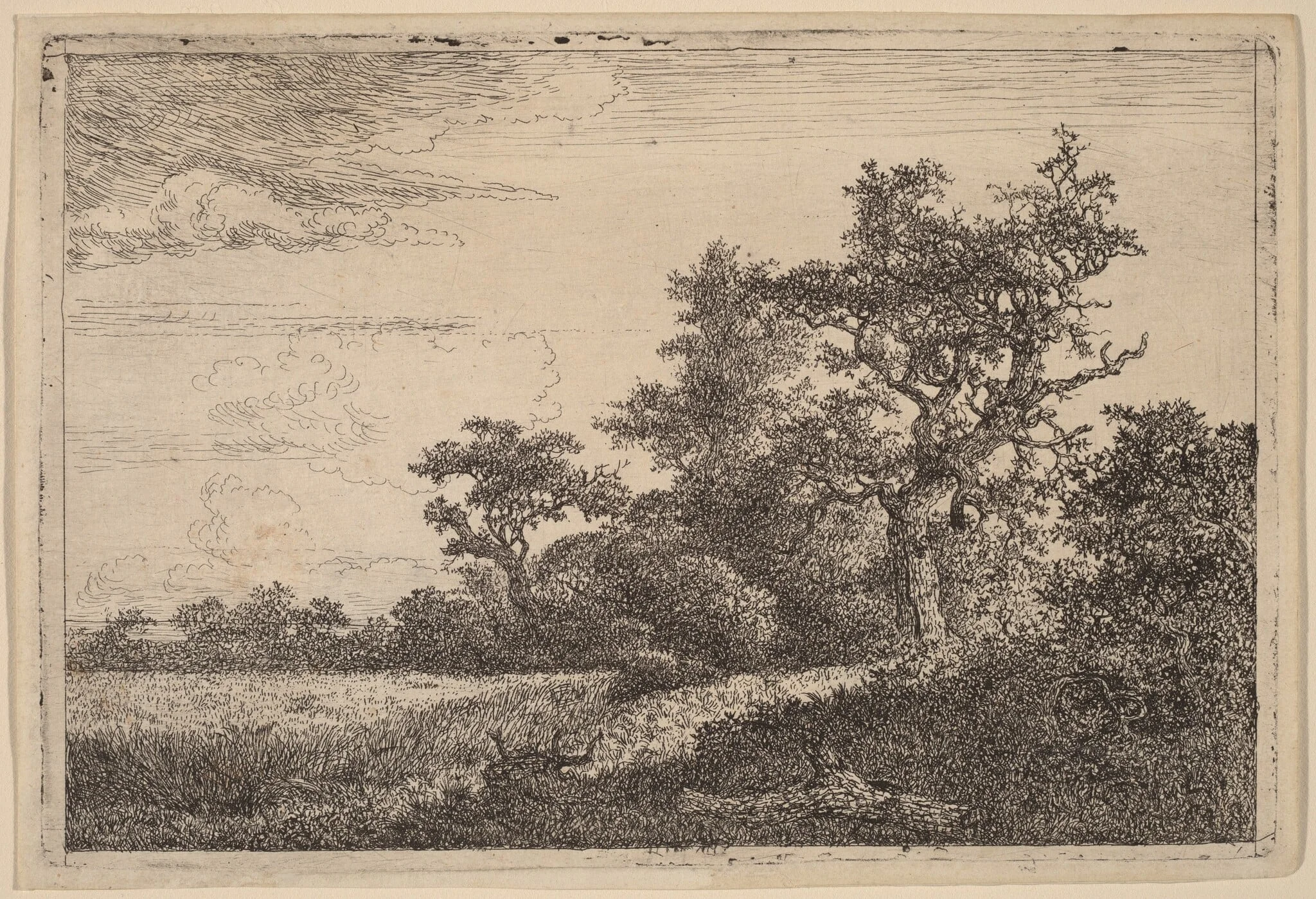 Grain Field at the Edge of a Wood (Corn Field), detail