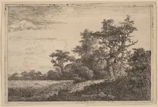Grain Field at the Edge of a Wood (Corn Field), by Jacob van Ruisdael, ink, 1655