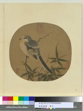 紈扇畫冊 冊 宋李安忠竹鳩.