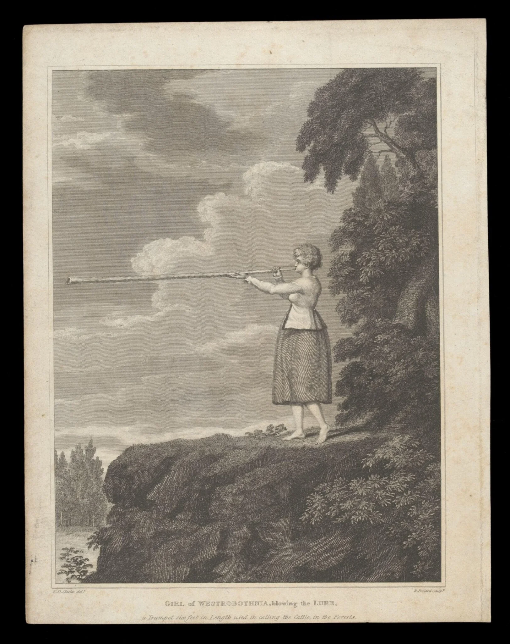 H Beard Print Collection, detail