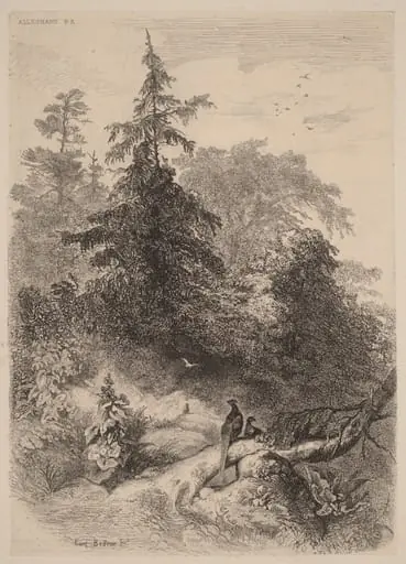 Les Faisans, by Karl Bodmer, ink, 1851