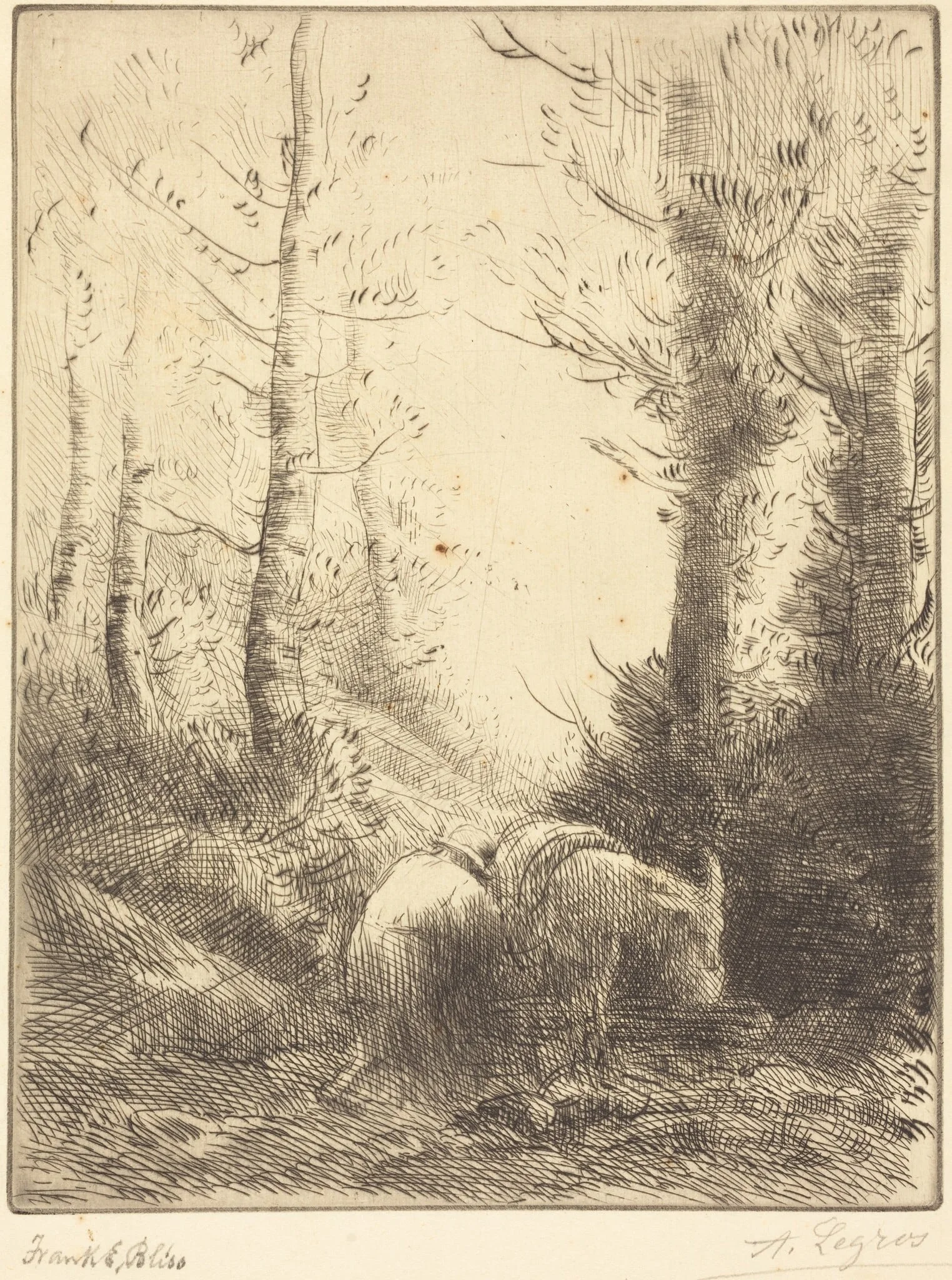 Farmer and His Donkey (Le fermier et son ane), detail