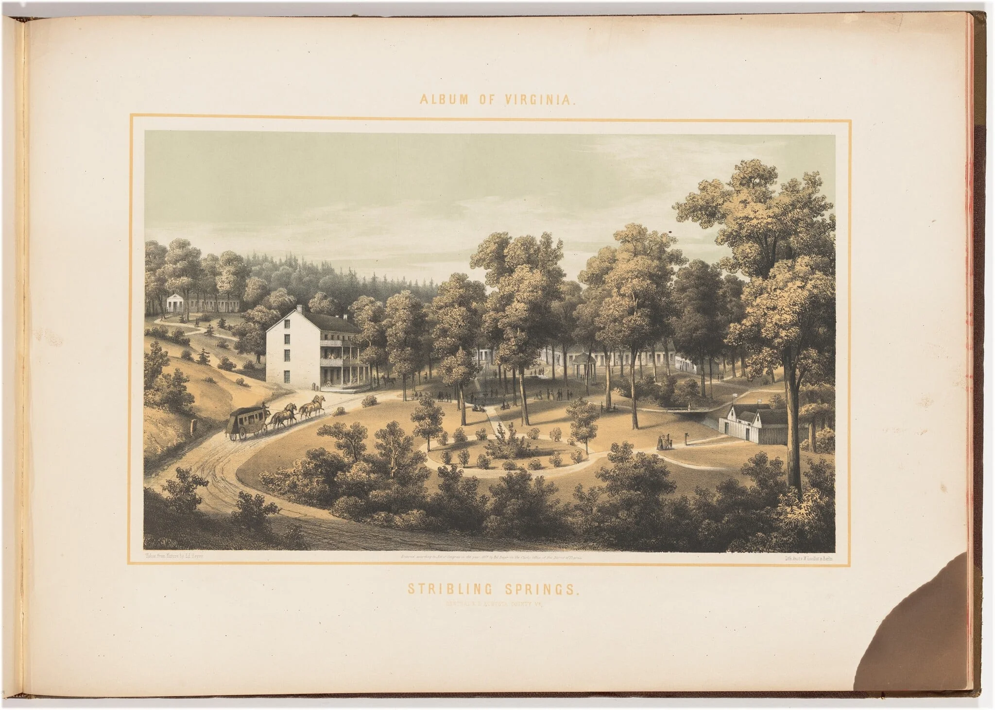Stribling Springs, detail
