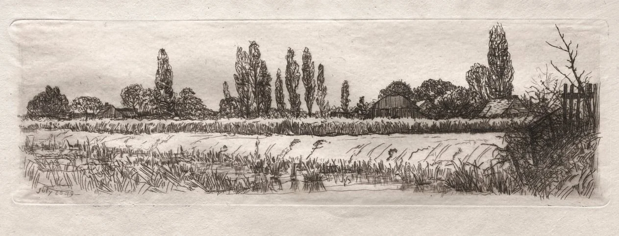 Cornfield, detail