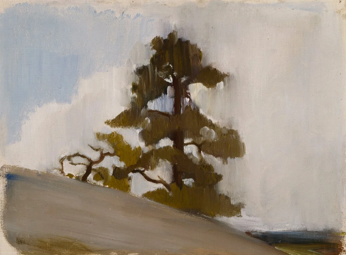 Honka, detail