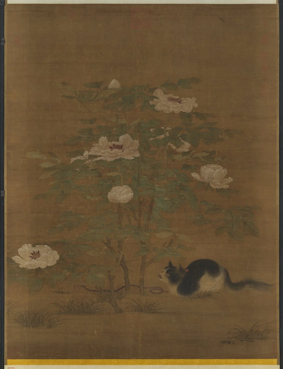 宋人富貴花狸 軸, detail