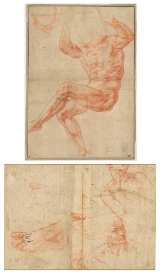 Study for the Nude Youth over the Prophet Daniel (recto); Figure Studies for the Sistine Ceiling (verso), detail