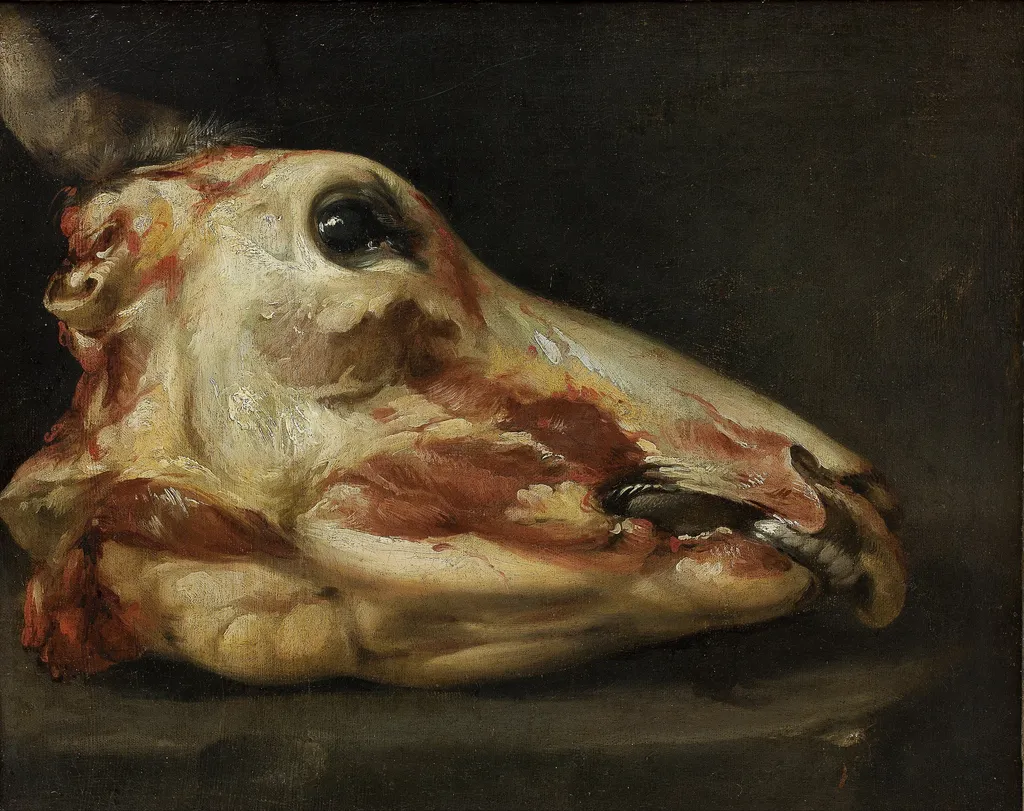 Skinned Head of a Young Bull, by Felice Boselli, oil, 1696