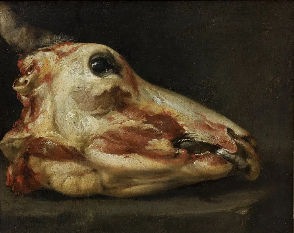 Skinned Head of a Young Bull, by Felice Boselli, oil, 1696