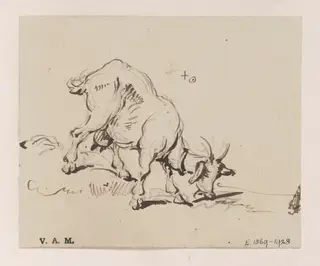 A grazing goat, by George Chinnery, 19