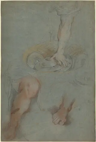 Studies for a Servant in "The Last Supper", by Federico Barocci, chalk, 1594