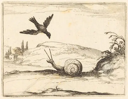 Crow and Snail, by Jacques Callot, ink, 1628
