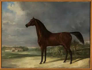 Bay horse, by Friedrich Leopold Bürde, oil, 1834