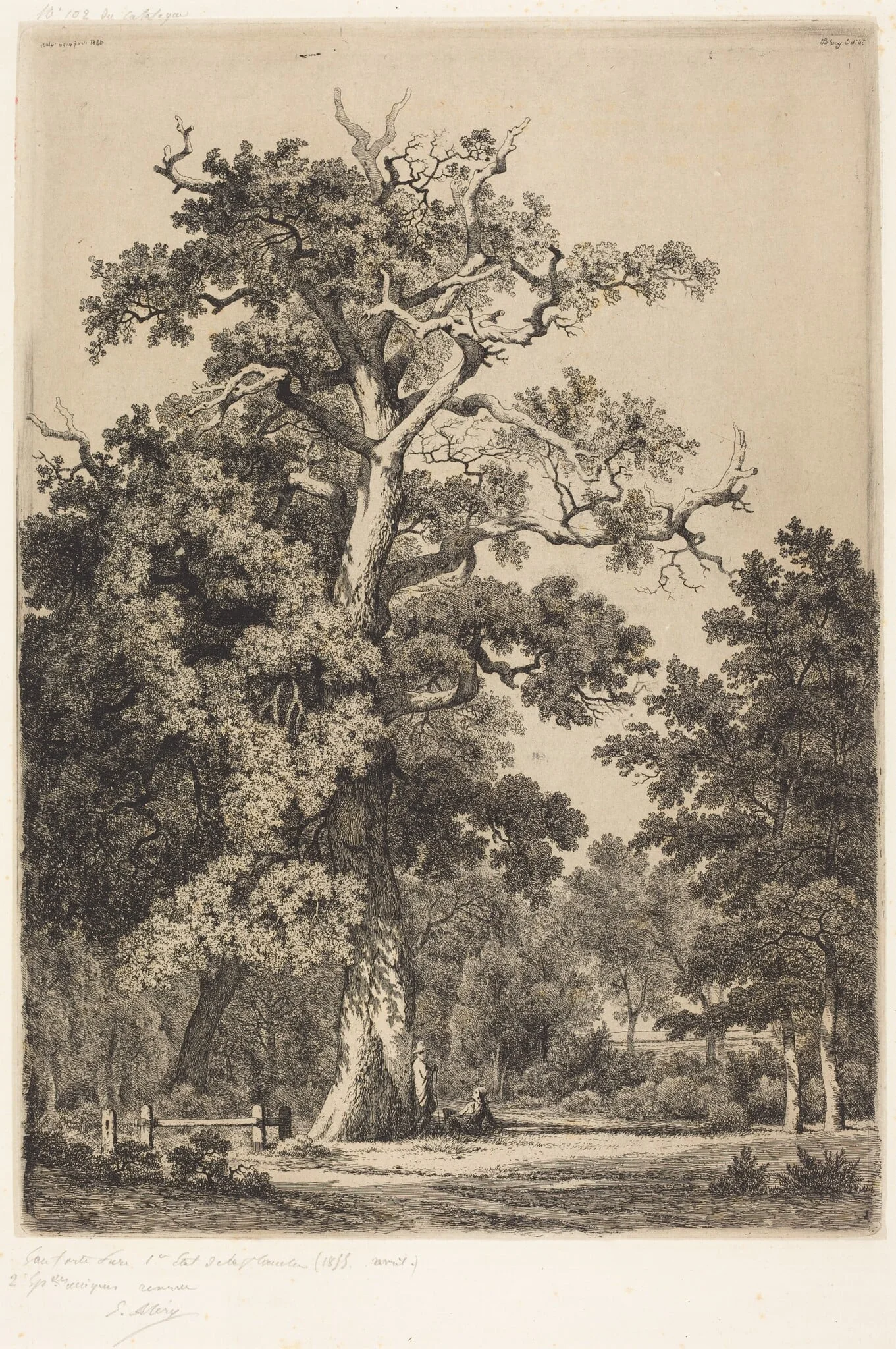 Ancient Oak in the Bois de Boulougne, detail
