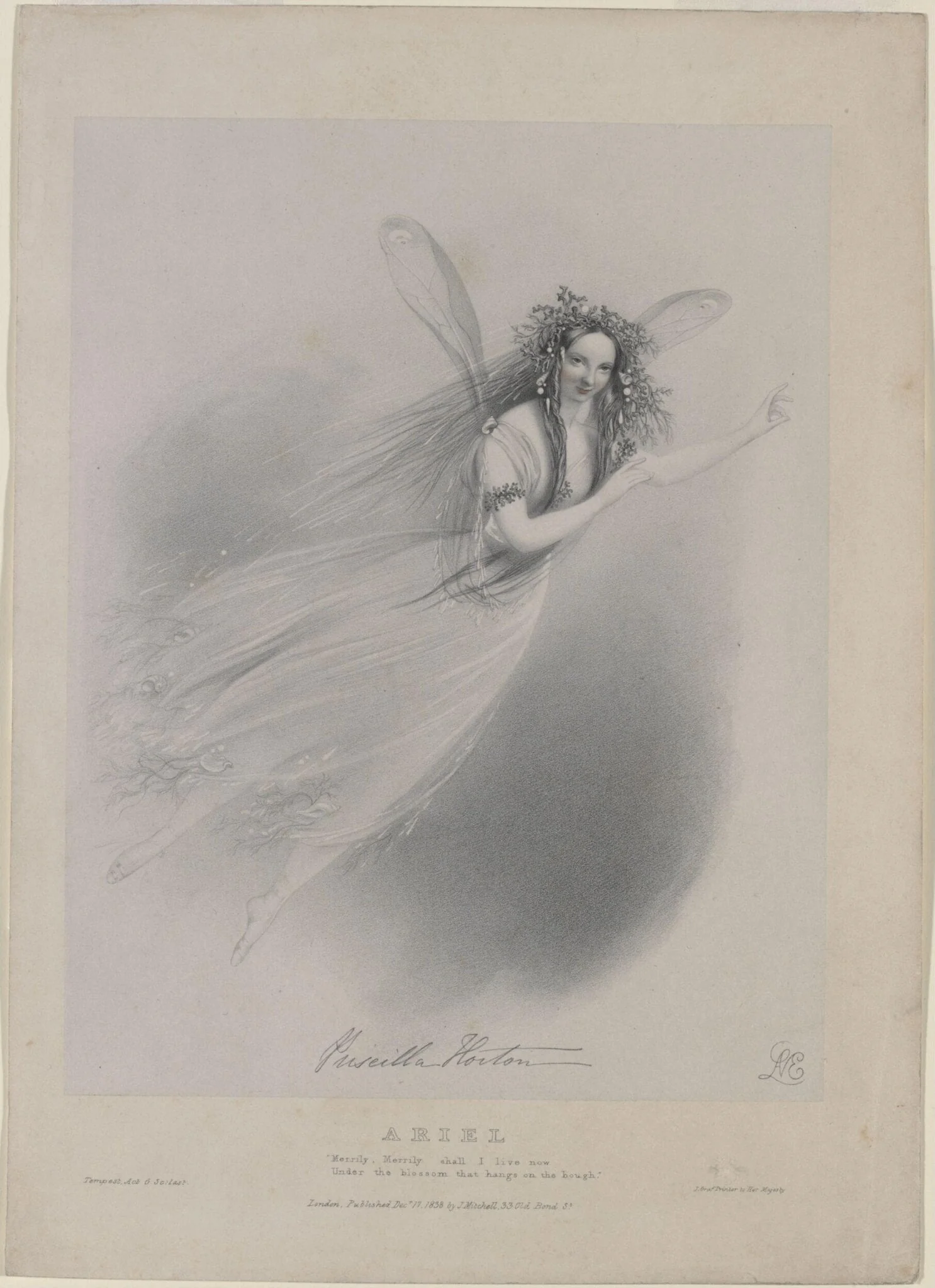 H Beard Print Collection, detail