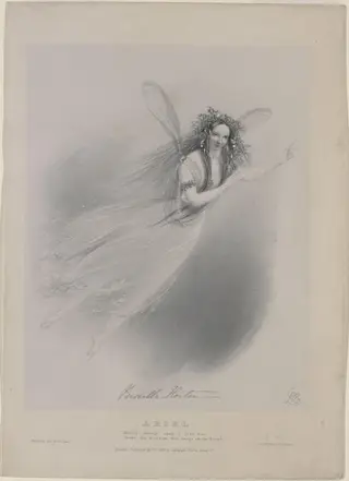 H Beard Print Collection, by J. Graf, 17