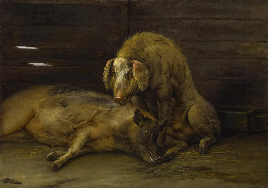 Two Pigs in a Sty, by Paulus Potter, oil, 1649