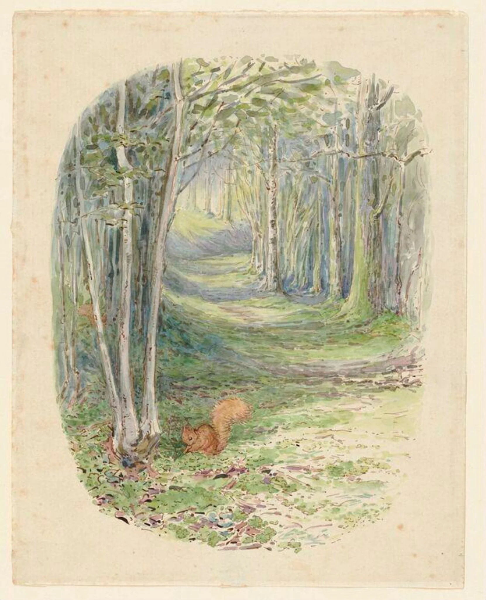 Squirrel in a wood, detail