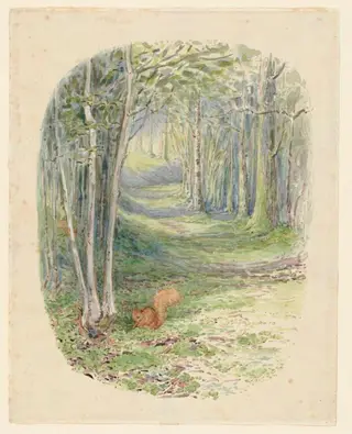 Squirrel in a wood, by Beatrix Potter, watercolor, 1903