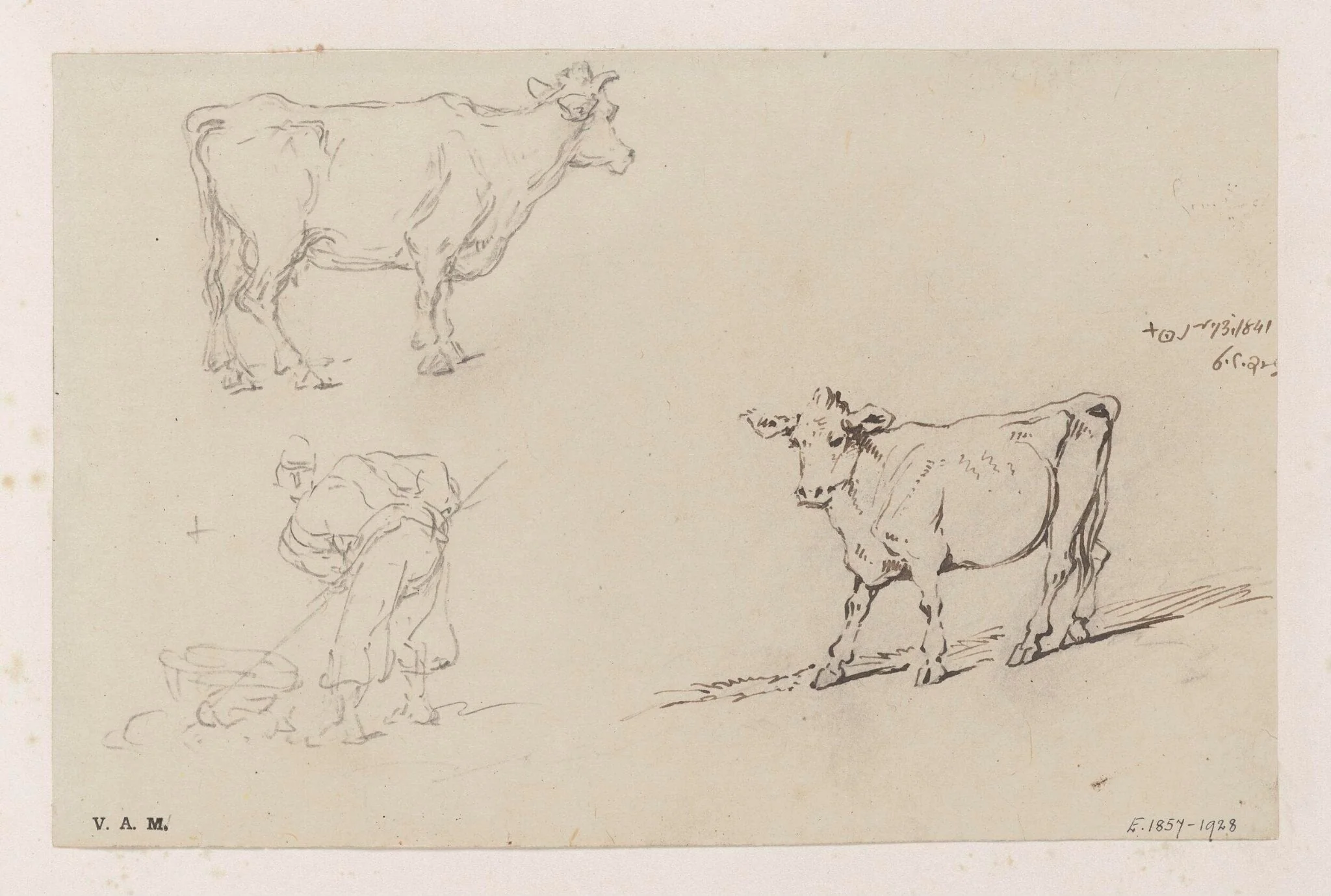 A Chinese man with a pole and basket, and two cows, detail