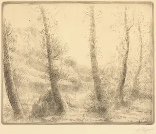 Small Lake (Le petit lac), by Alphonse Legros, ink, 1874