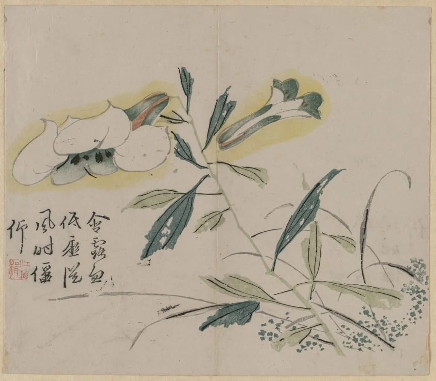 Flowering Lily, detail