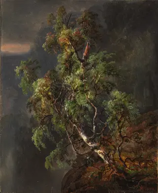 Birch Tree in a Storm, by Johan Christian Dahl, oil, 1849