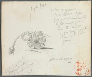 Strawberry Blossom, by John La Farge, 1878