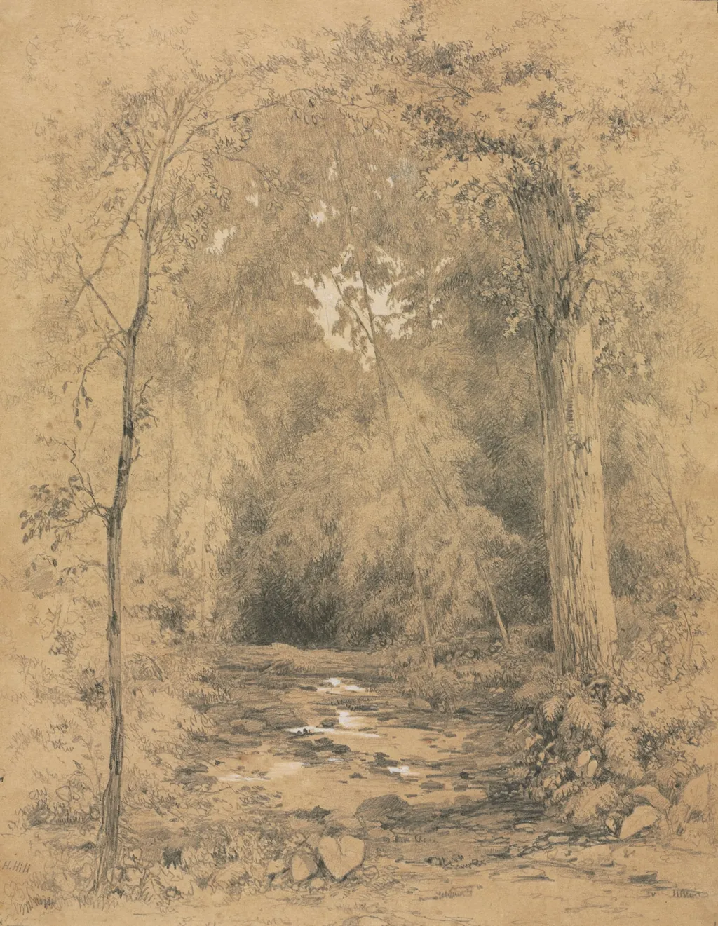Forest Interior, by John Henry Hill, 1870