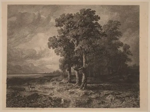 Trees in a Storm, by Alexandre Calame, ink, 1840