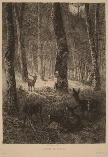 Retour au Bercail, by Karl Bodmer, ink, 1851