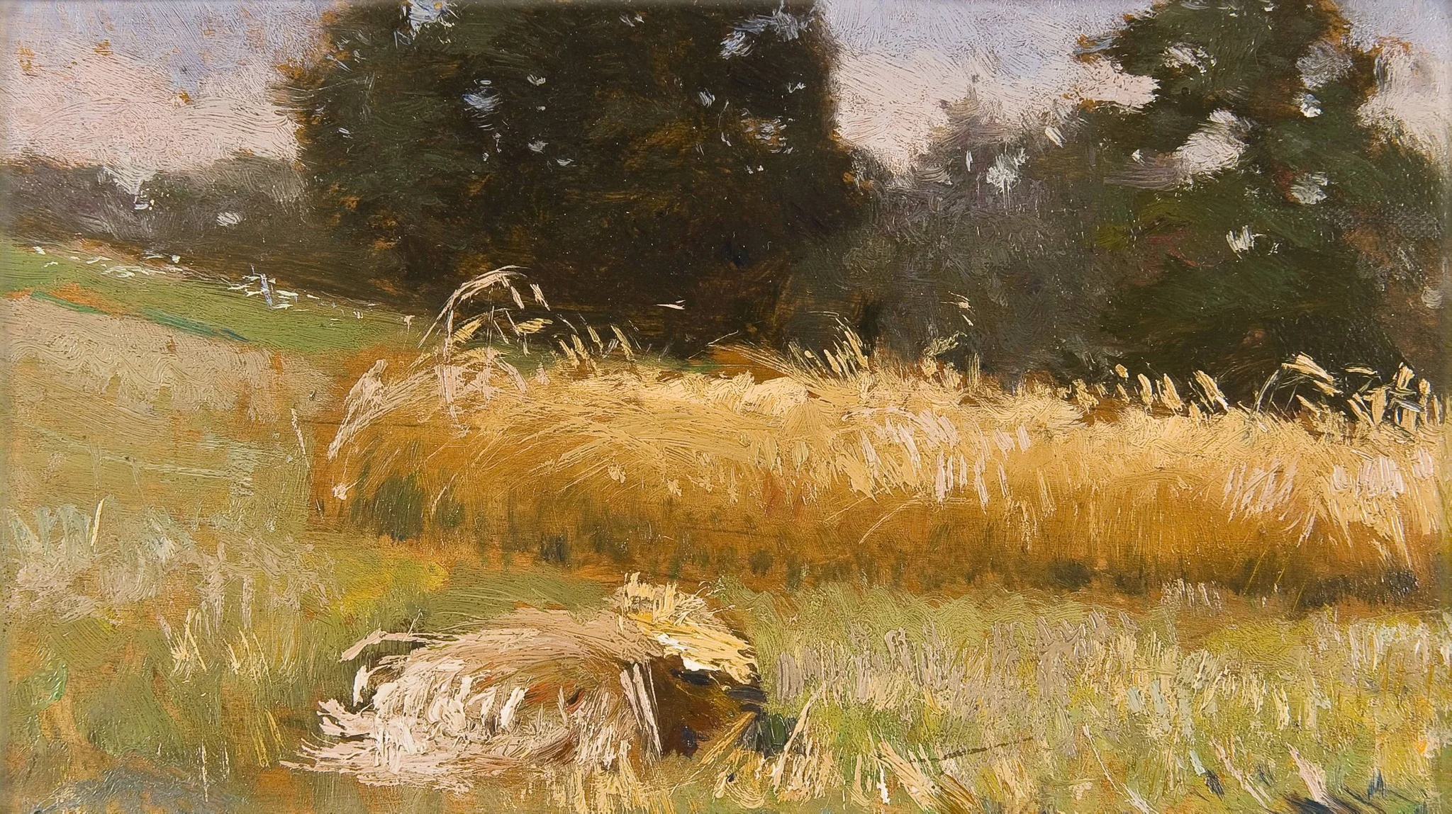 Rye field, detail