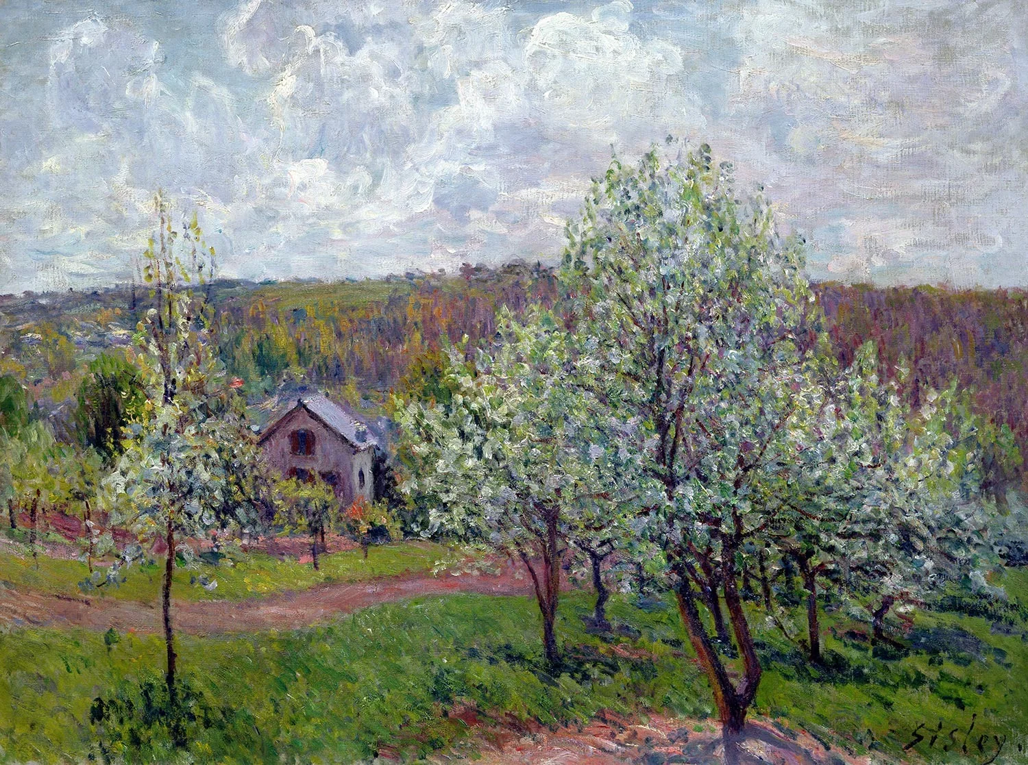 Printemps aux environs de Paris. Pommiers en fleurs, detail