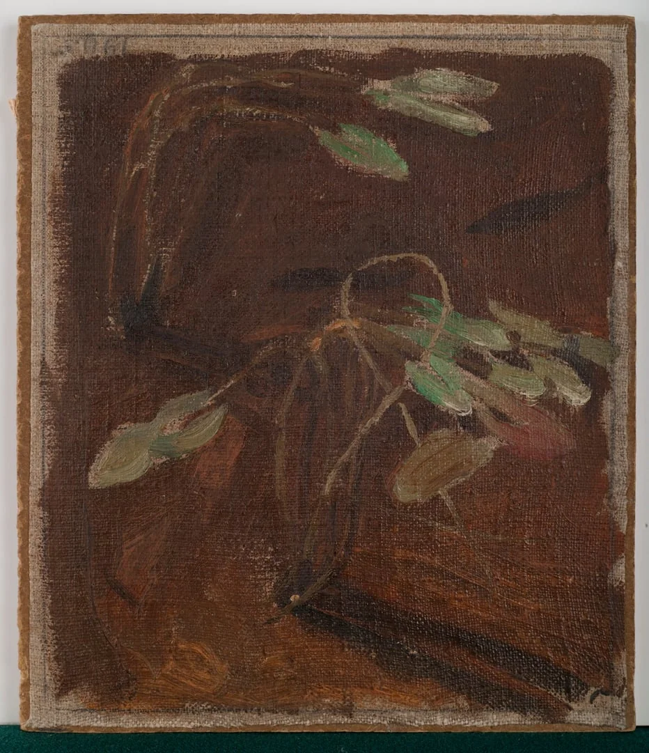 Lumpeita, detail