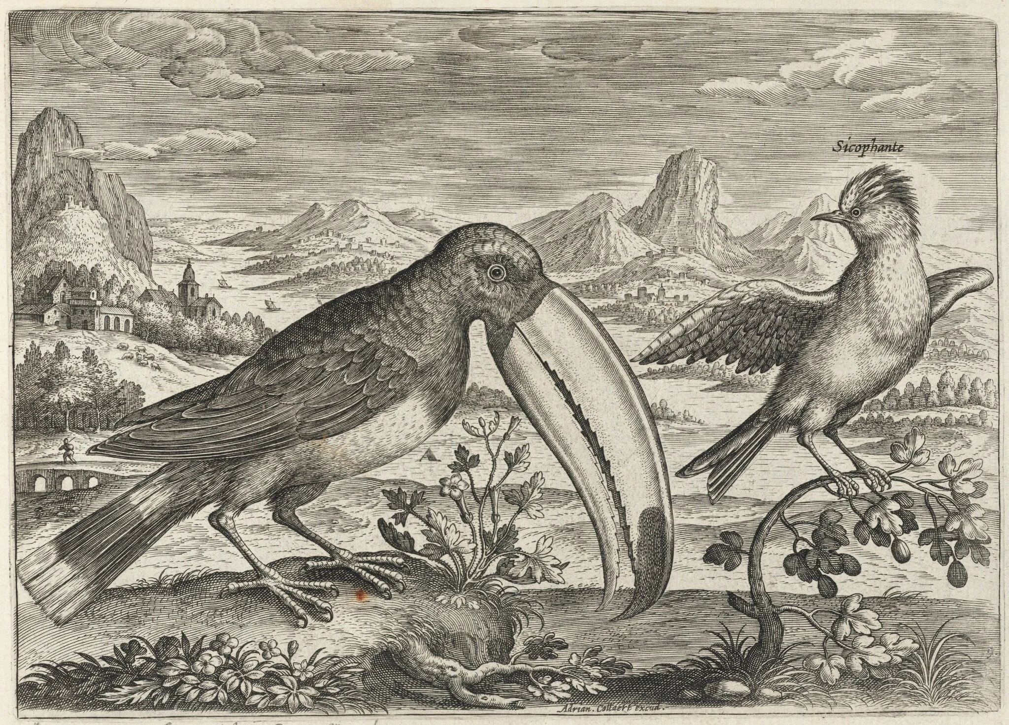 Toucan and Another Tropical Bird, detail