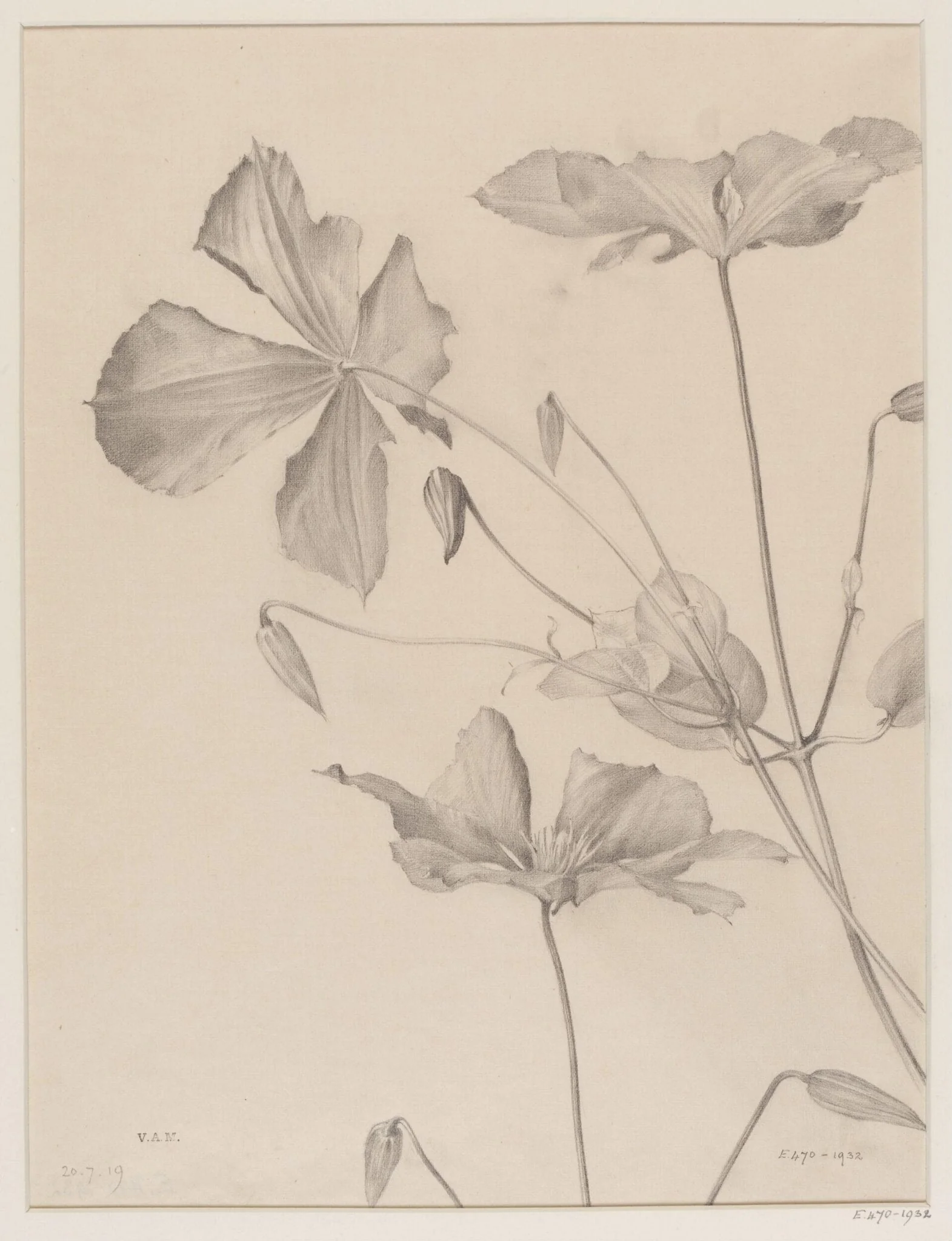Untitled, detail