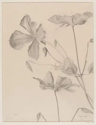 Untitled, by Edward Ingram Taylor, 20