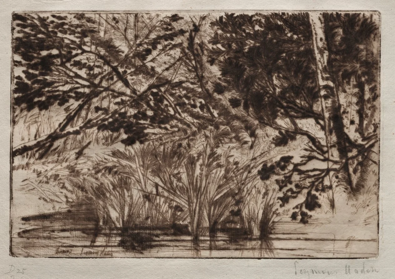 The Mouth of a Brook (Second Plate), detail