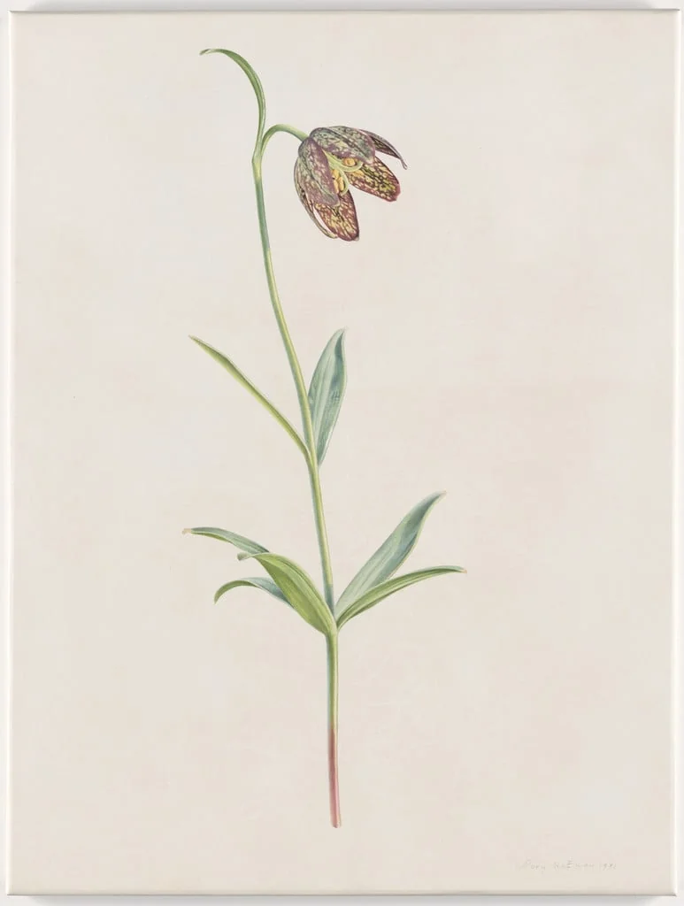Untitled, detail