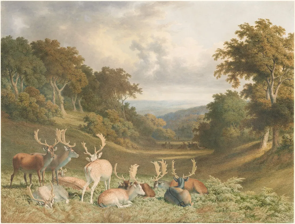Stags in Knole Park, Kent, by Robert Hills, watercolor, 1839