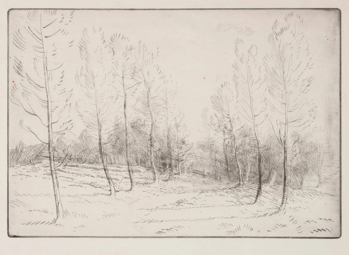 Avenue of Poplars, detail