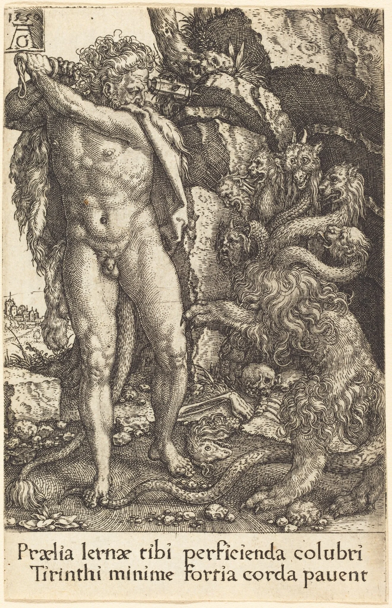 Hercules Fighting with the Hydra of Lernea, detail