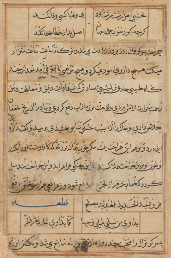 Page from Tales of a Parrot (Tuti-nama): text page, detail