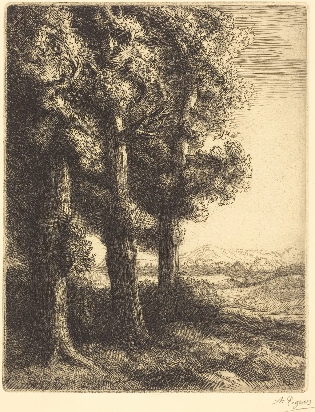 Corner of a Wood (Coin d'un bois), by Alphonse Legros, ink, 1882