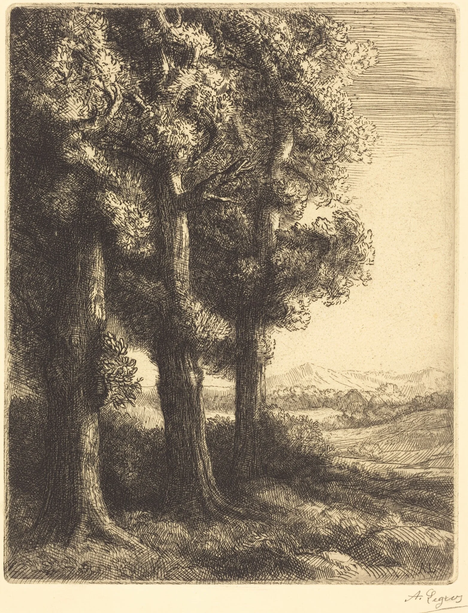 Corner of a Wood (Coin d'un bois), detail