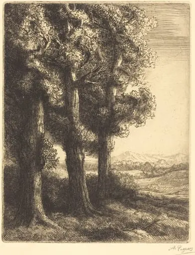 Corner of a Wood (Coin d'un bois), by Alphonse Legros, ink, 1882