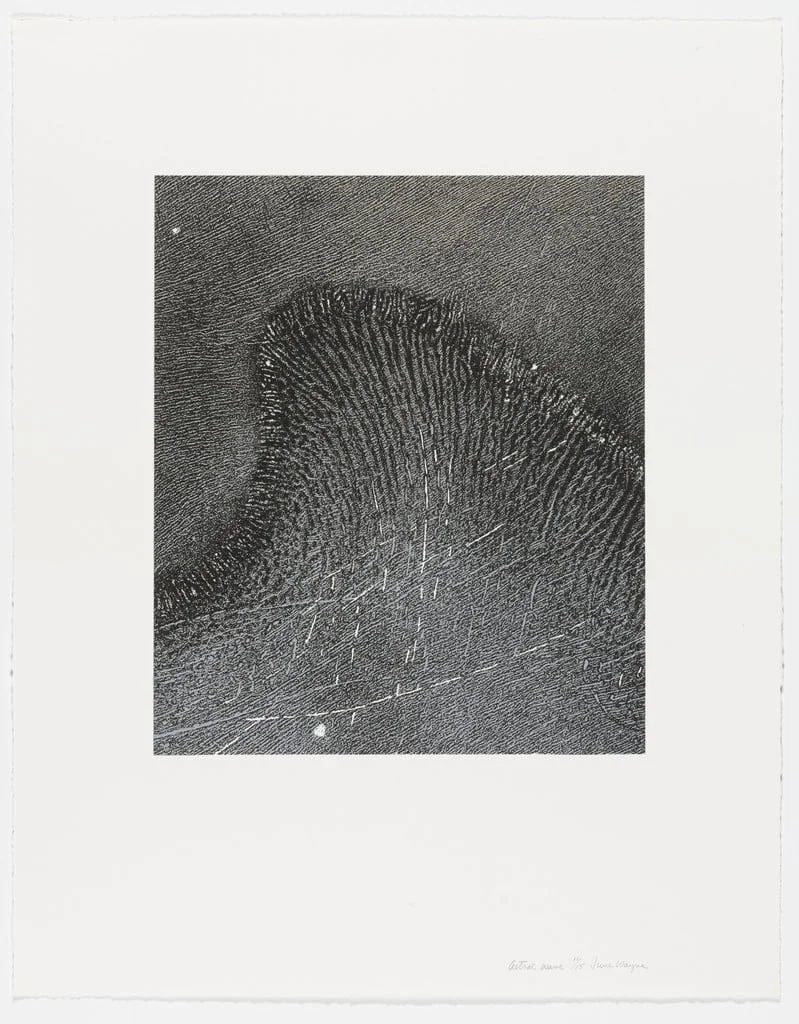 Untitled, detail