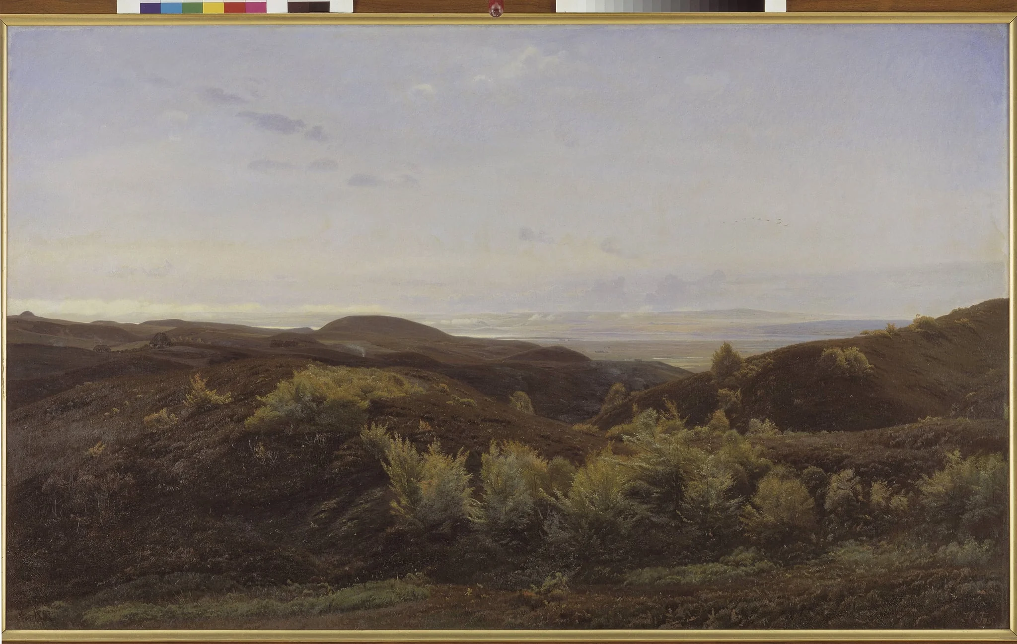 Heather Hills near Rye, Jutland, detail